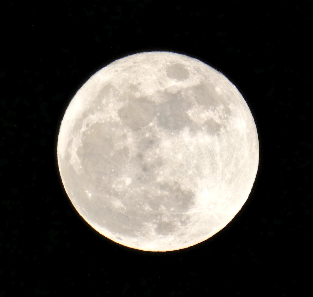 むーくん0045 tweet media