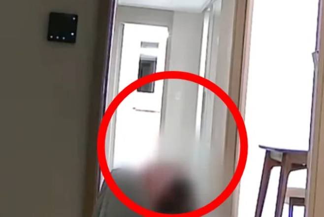 INFO DRAKOR tweet media