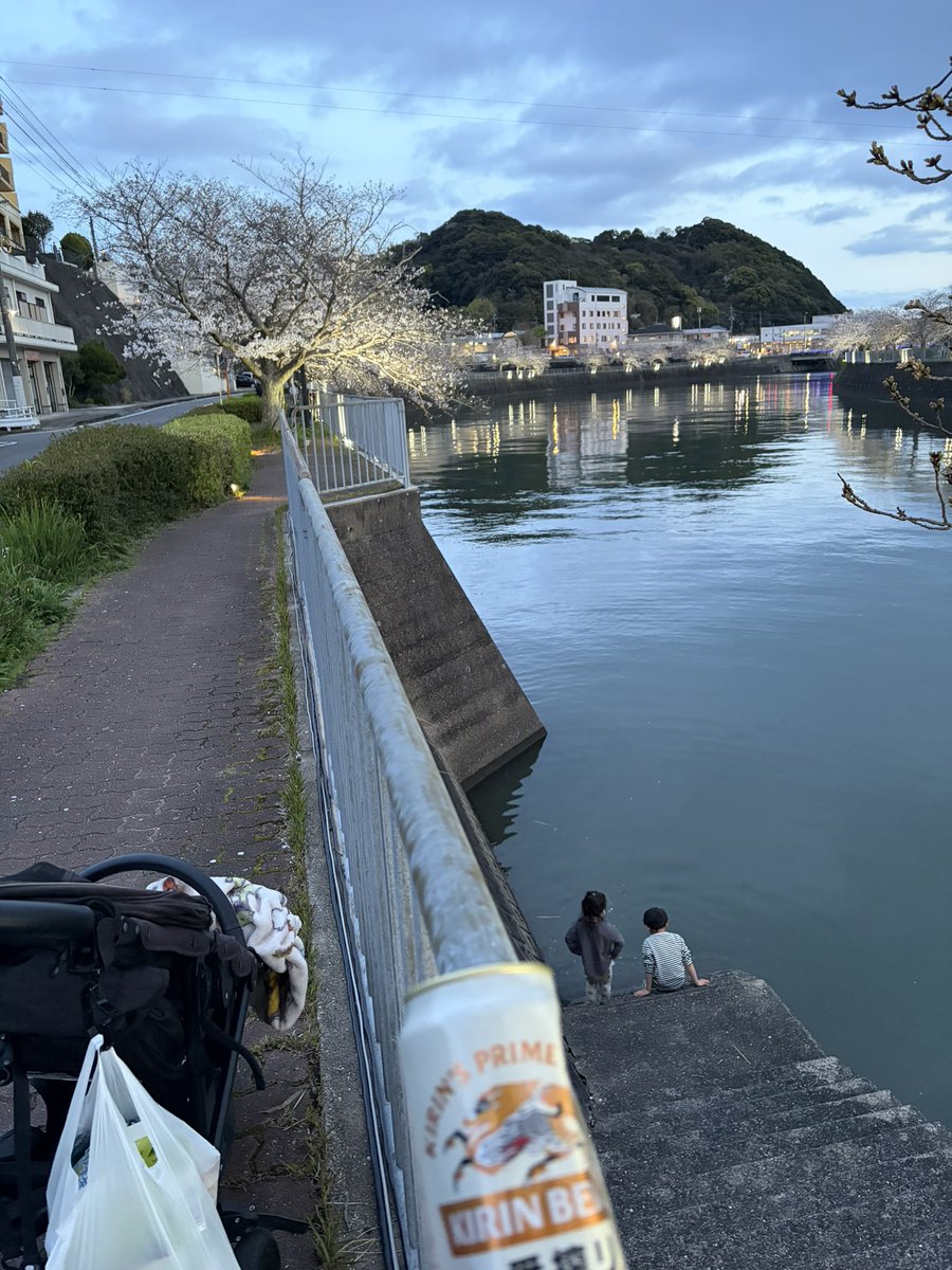 dandaman0412's tweet photo. 近所の桜が咲いてました。明後日ごろに満開かなぁ。 https://t.co/f1ncoMkKB5