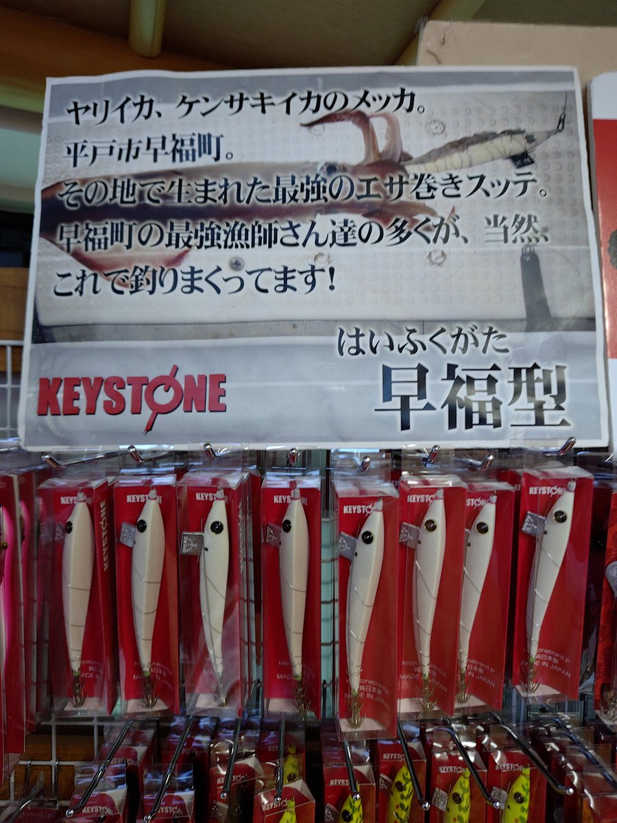 キーストンダイレクトショップ tweet media