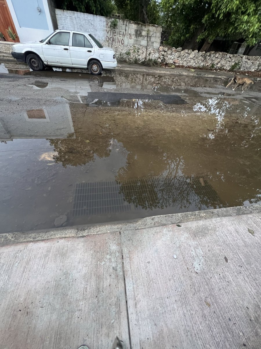 KatttiaAp's tweet photo. @AyuntaMerida @CeciliaPatronL Hola, ya he realizado el reporte de la alcantarilla que está en la entrada de mi casa. Sin embargo, se requiere que se le dé otro tipo de mantenimiento, ya que con UN día de lluvia queda de esta manera, no me imagino en temporada https://t.co/6eOLuo7qu0
