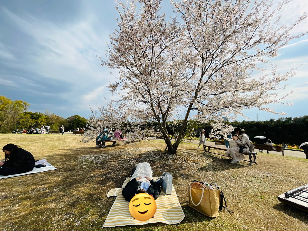 たす🏠5/2.3JAM tweet media