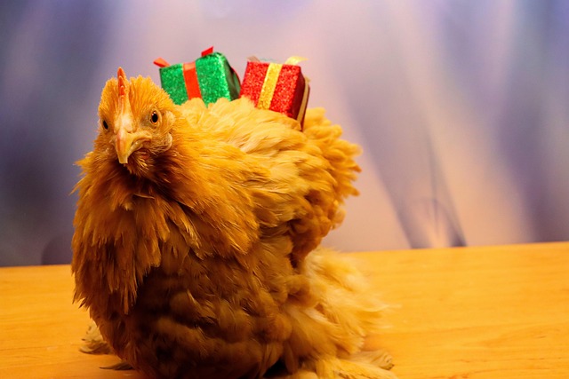 Anna Palacios tweet media