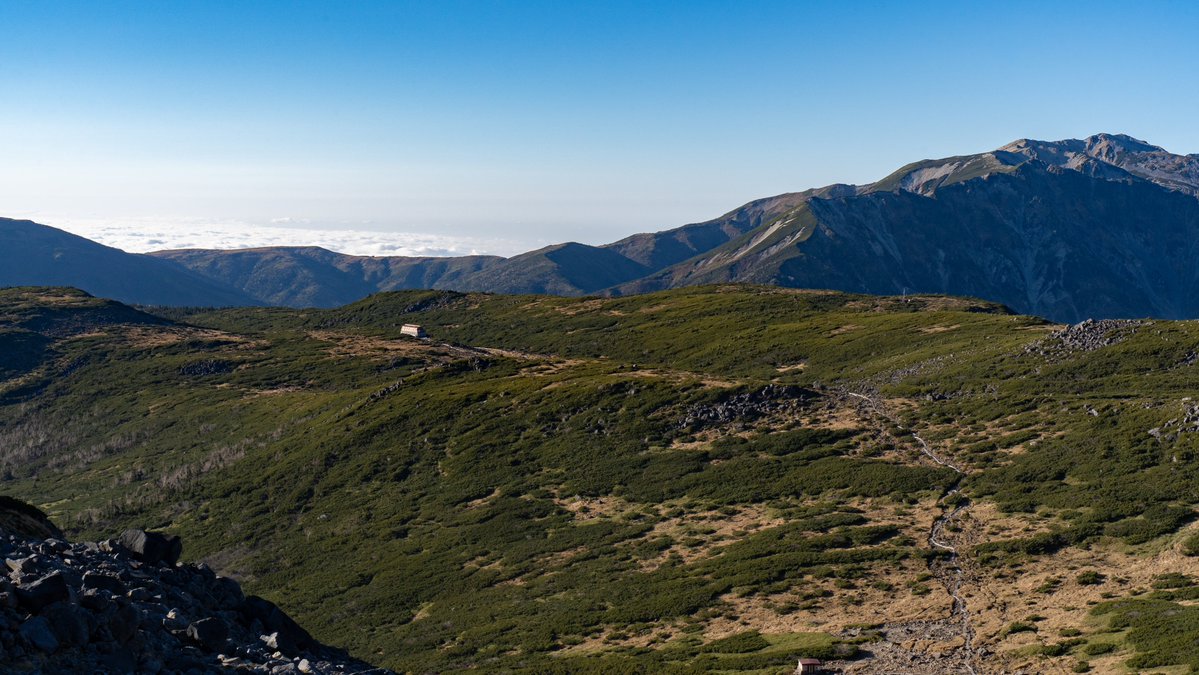 ボンバイエ tweet media