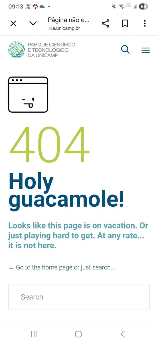 Paula Schmitt tweet media