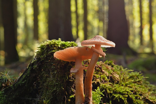 Mike Moody tweet media