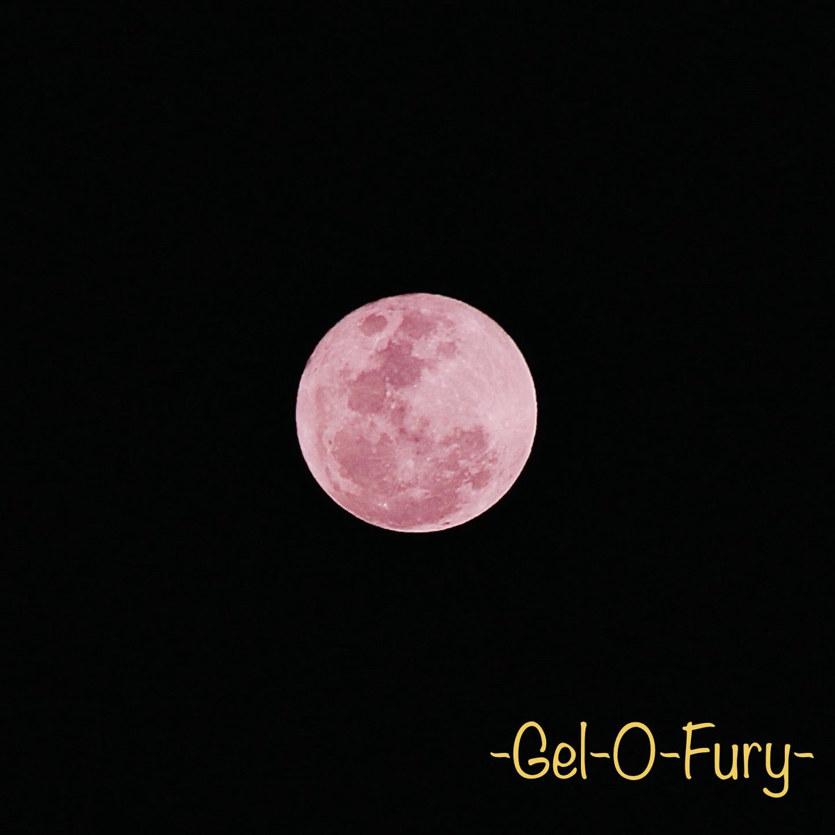 -Gel-O-Fury- tweet media