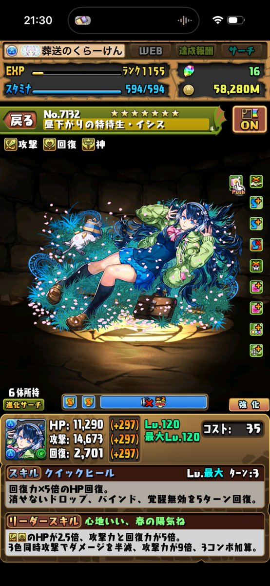 cherry blossom tweet media