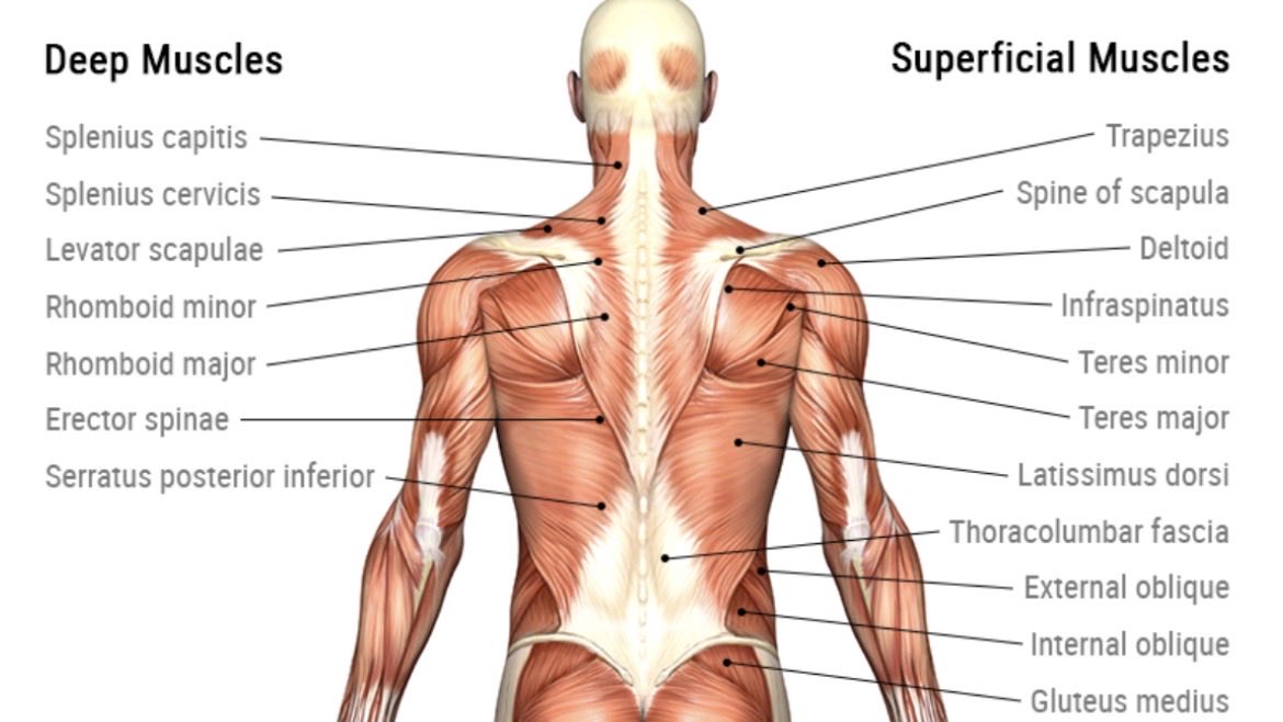 FaceCachéedelaLune tweet media