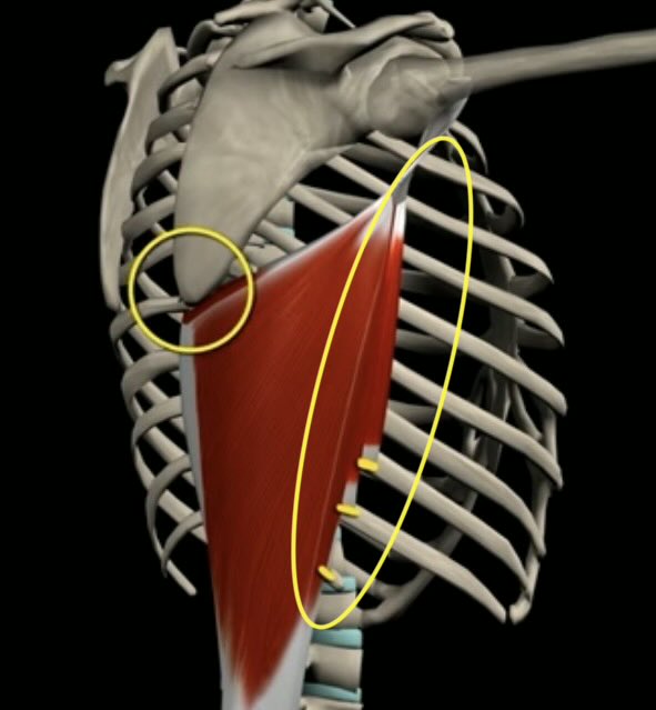 FaceCachéedelaLune tweet media
