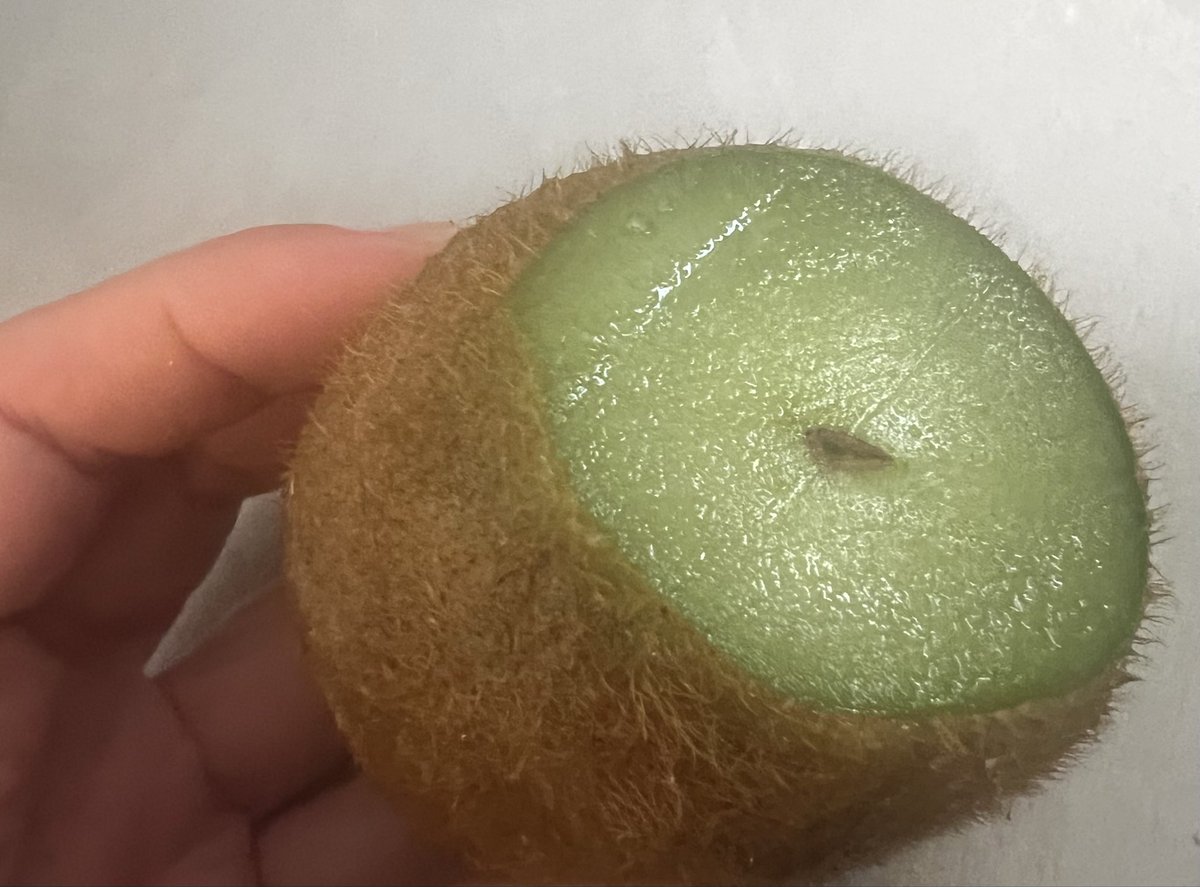 MissShor ๐ tweet media