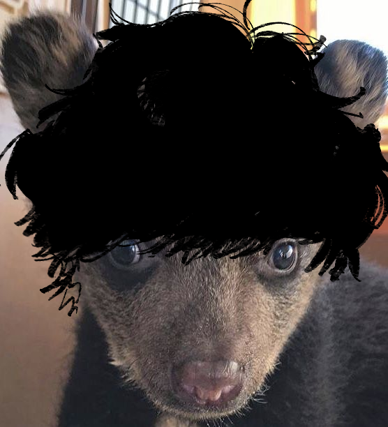 陸海空燒烤 tweet media