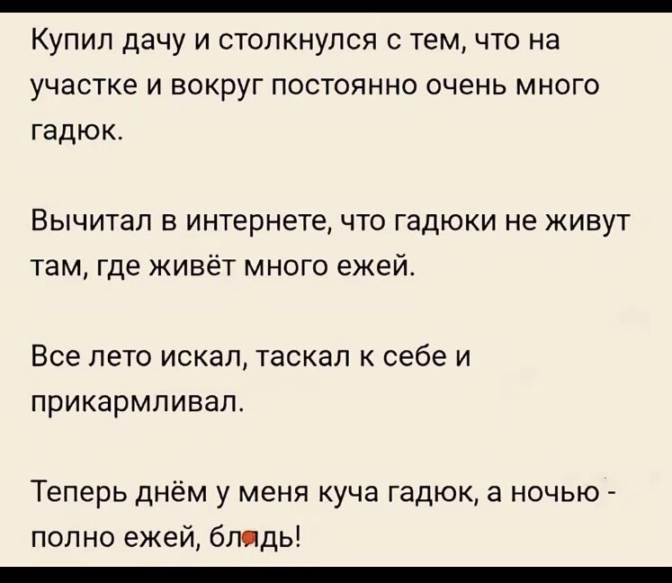 Инесса tweet media