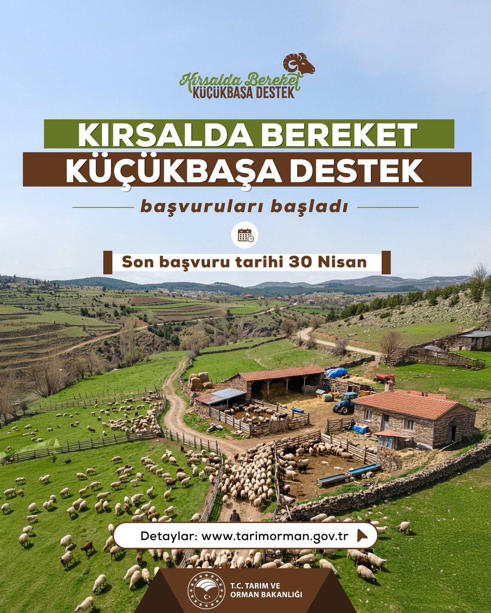 Zülküf Alpay tweet media