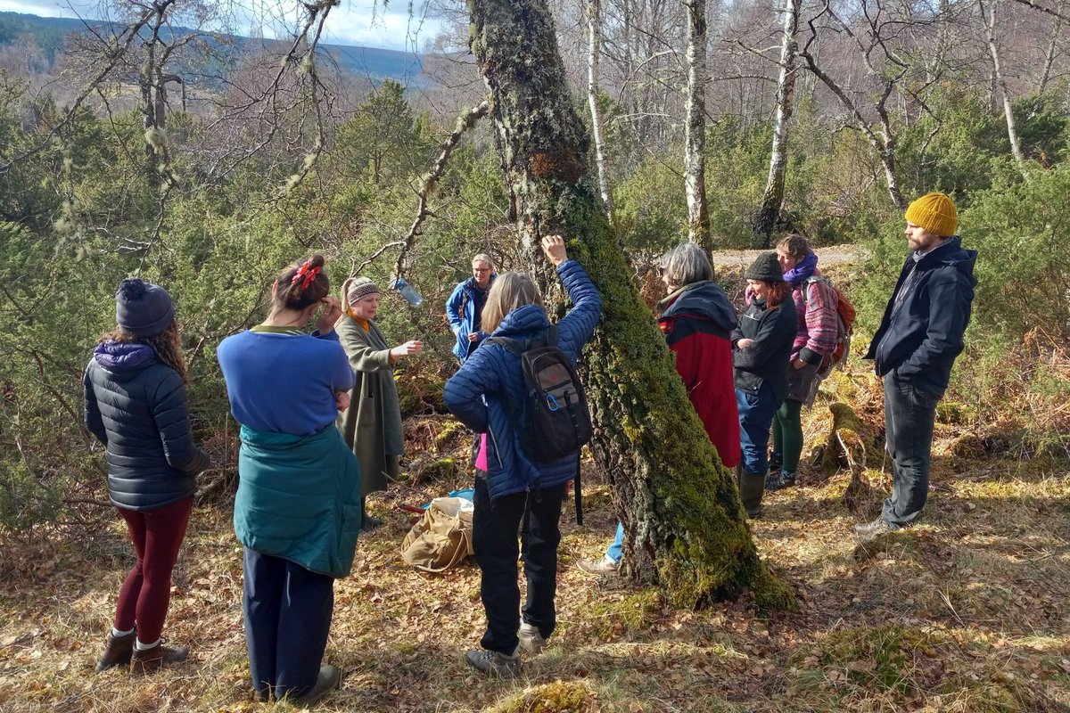 Trees for Life tweet media