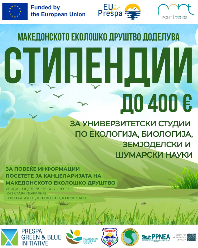 Princess Tsunade ✨ tweet media