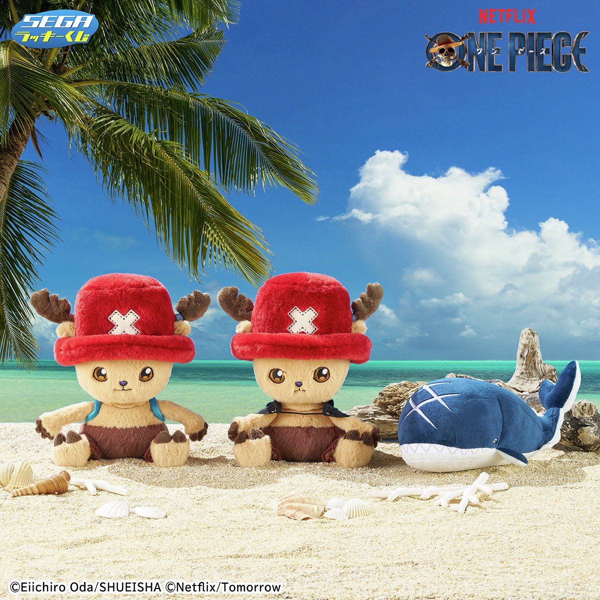 One Piece Merch News tweet media