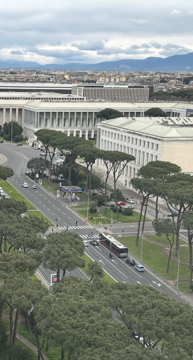 elasciami tweet media