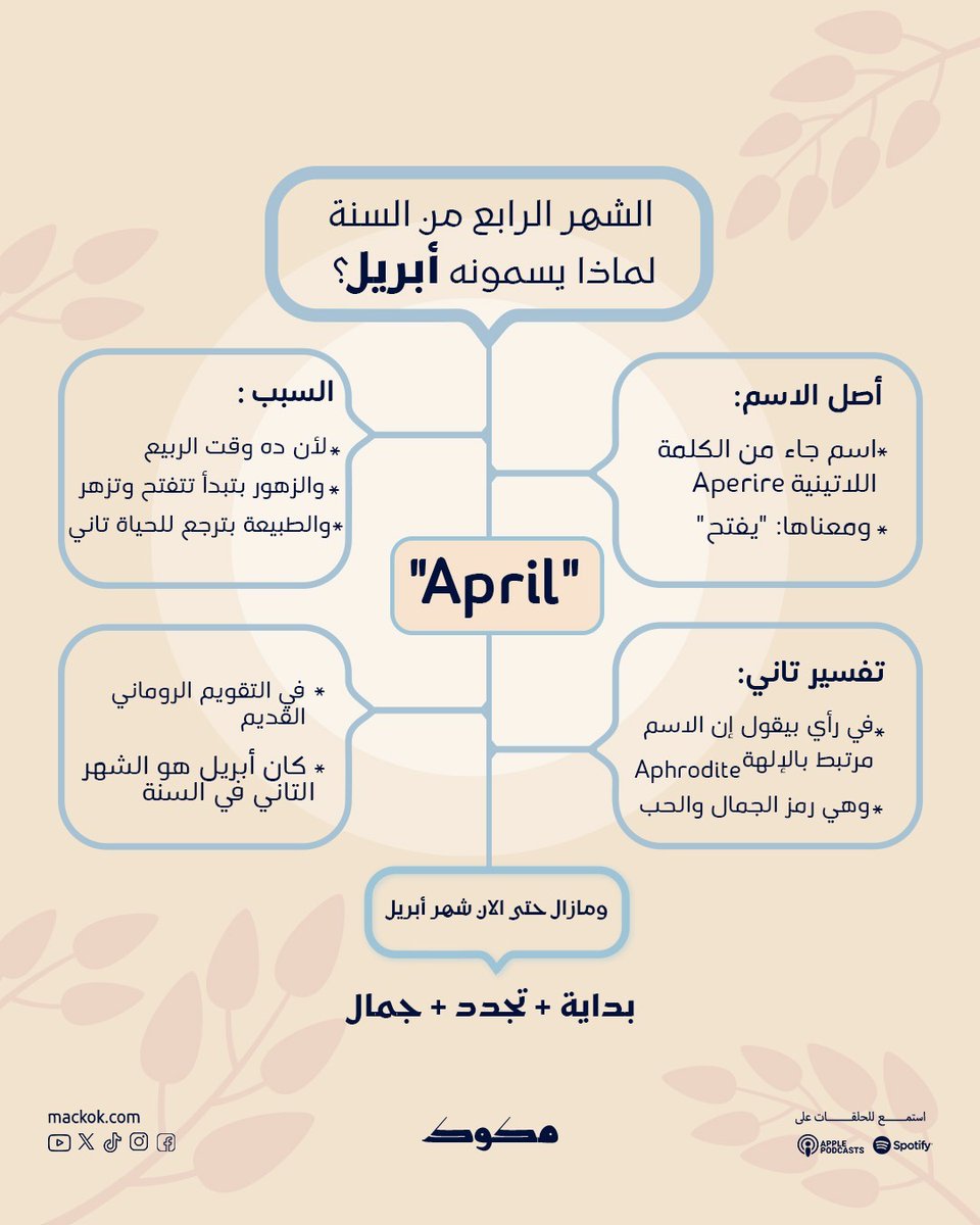 مكوك | Mackok tweet media