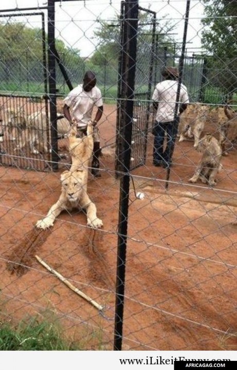 Captain Smasha tweet media