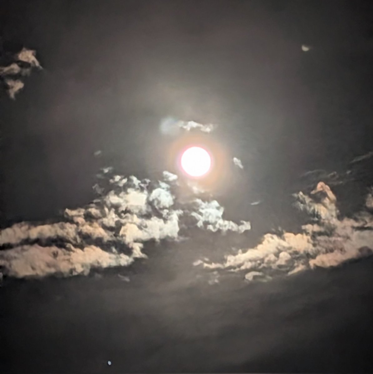 Saemashiro's tweet photo. ピンクムーンというらしい
明るくてきれい🌕

 #ピンクムーン https://t.co/AIP9Mrk2Zo