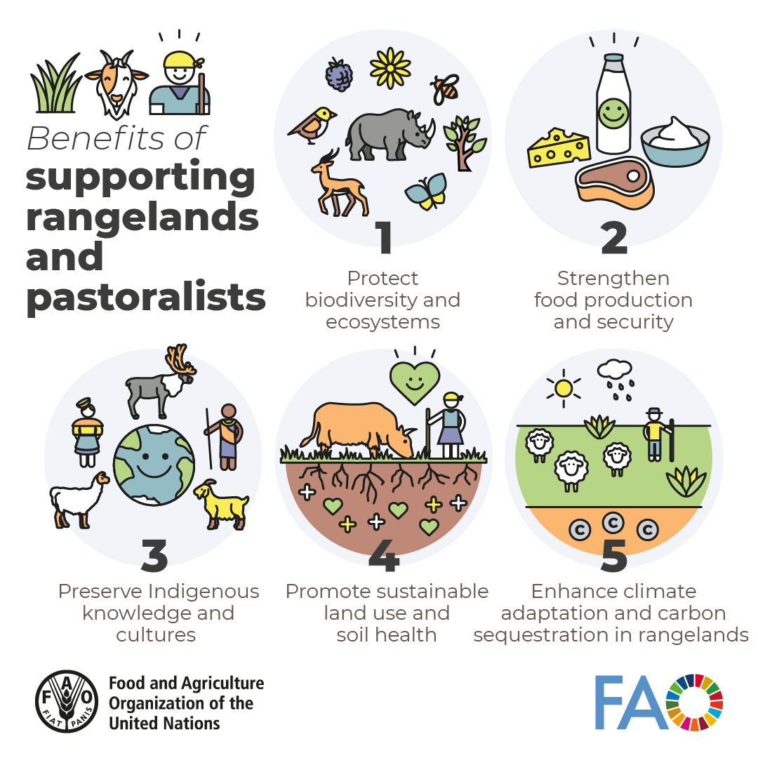 Food and Agriculture Organization tweet media