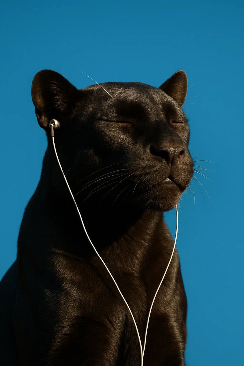 MUKADAM☪️ tweet media