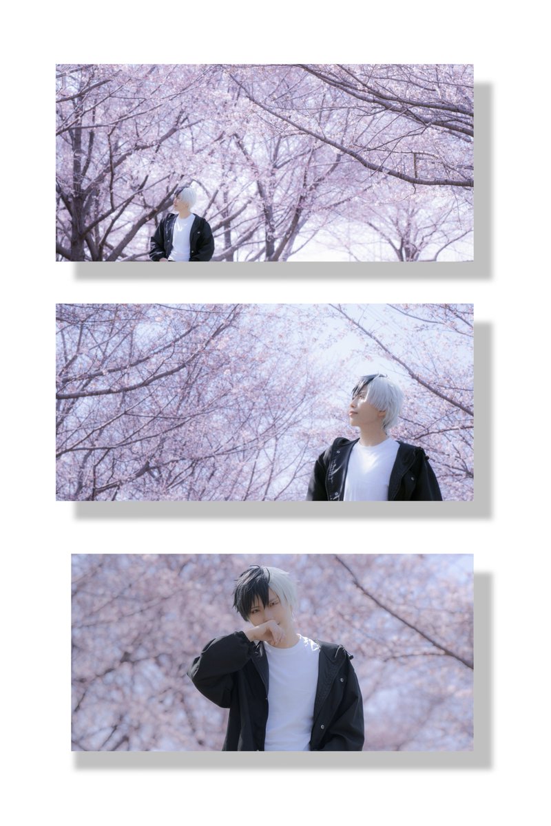 kirari 🌸 tweet media