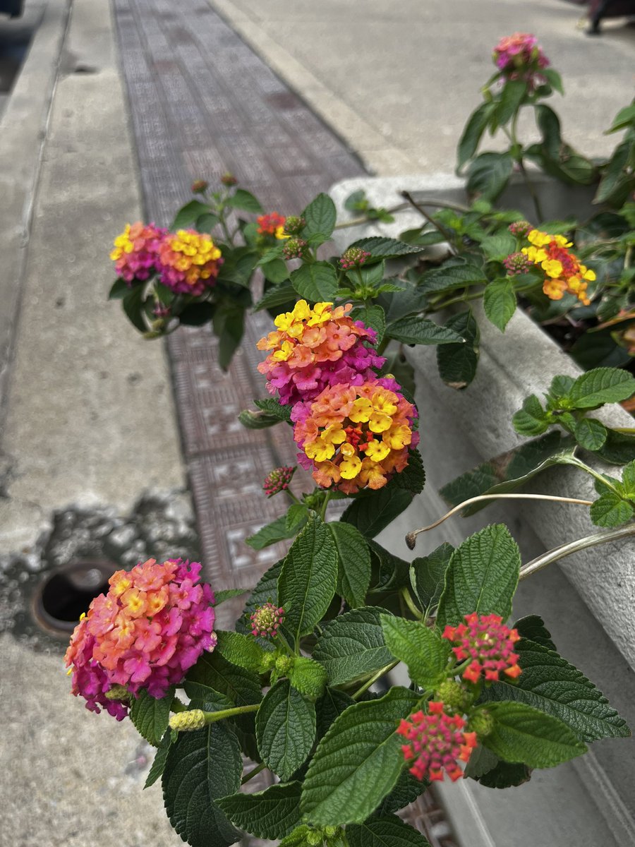 Airport 🪶 🇵🇷 tweet media