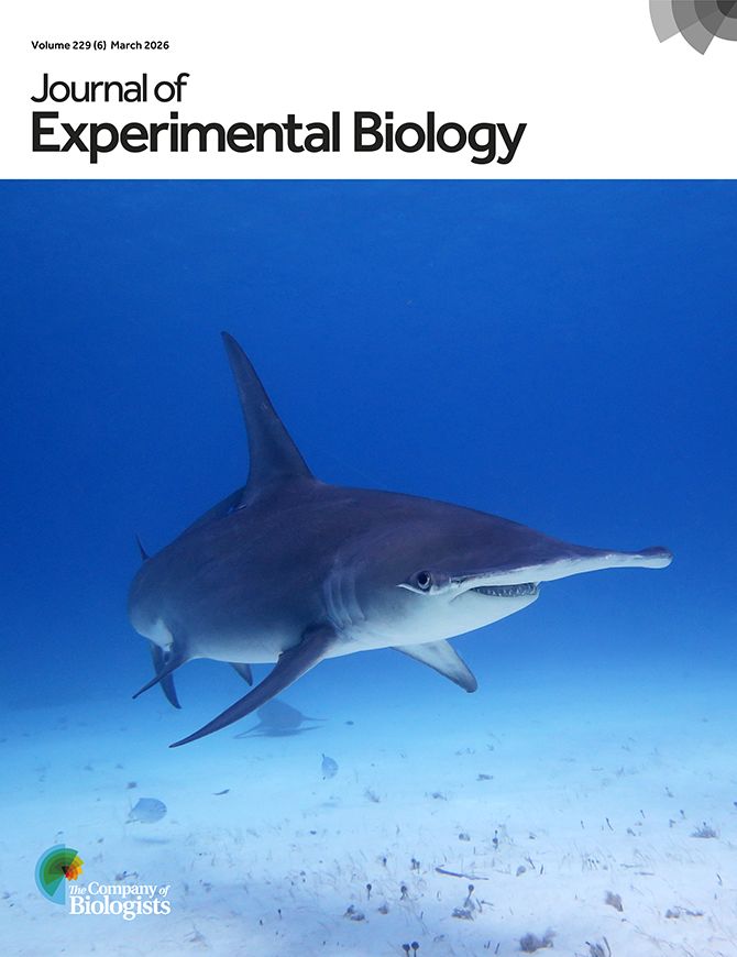 Erin Spencer, PhD tweet media