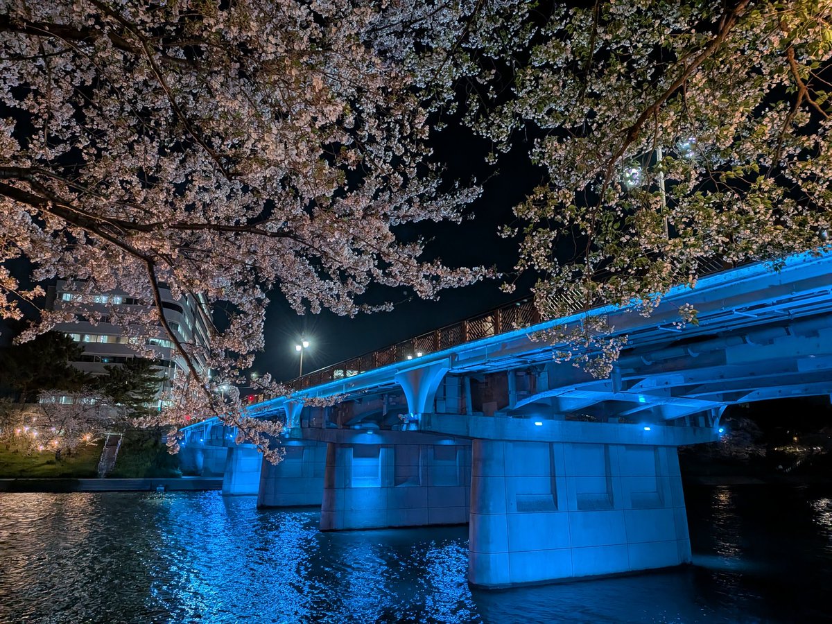 ZAKO91384796's tweet photo. 4月2日は国連の定めた世界自閉症啓発デーです。
世界各国のランドマークをシンボルカラーの青でライトアップしています。
岡崎では岡崎城公園大手門、殿橋、明代橋がブルーになりました。桜もほんのりブルーに🌸
#世界自閉症啓発デー #4月2日 #LIUB #発達障害
#殿橋 #明代橋 #岡崎城公園 https://t.co/s8MyeTaKyp