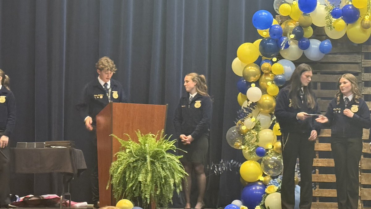 Chasitie Euler tweet media