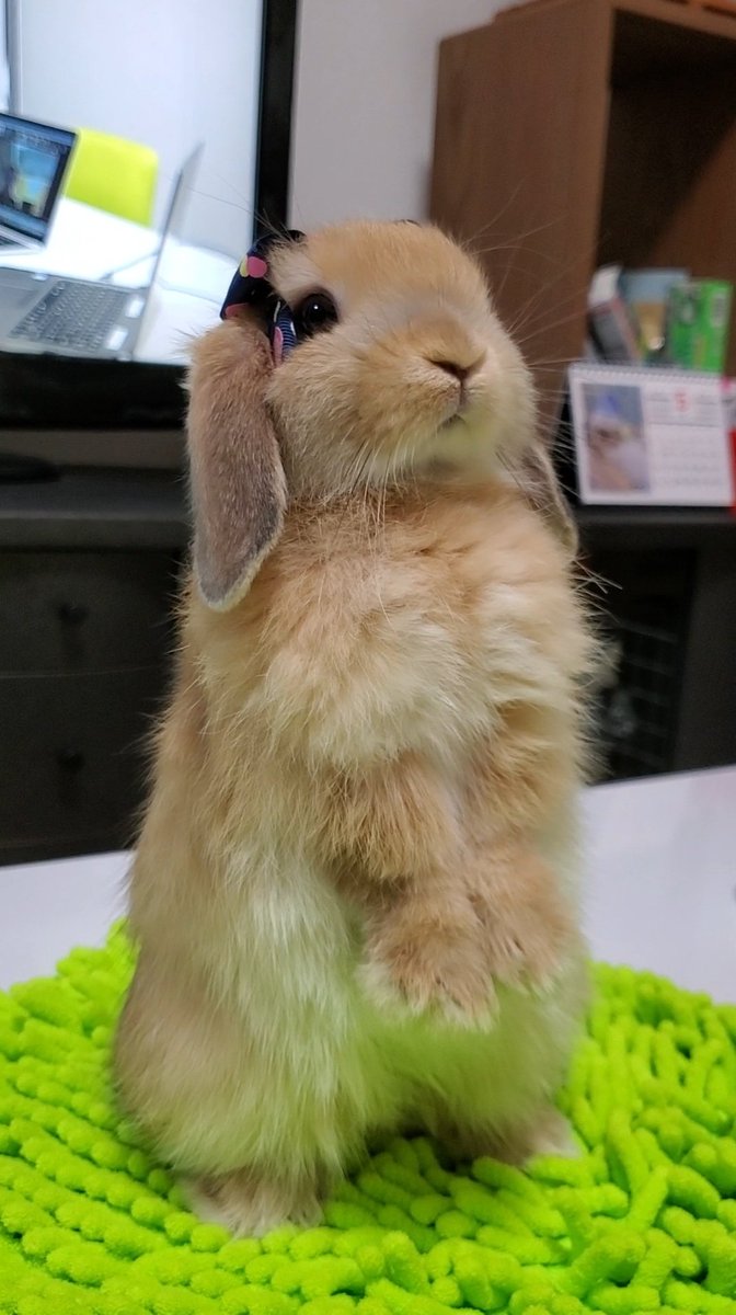 #これが０歳時代だ参ったか