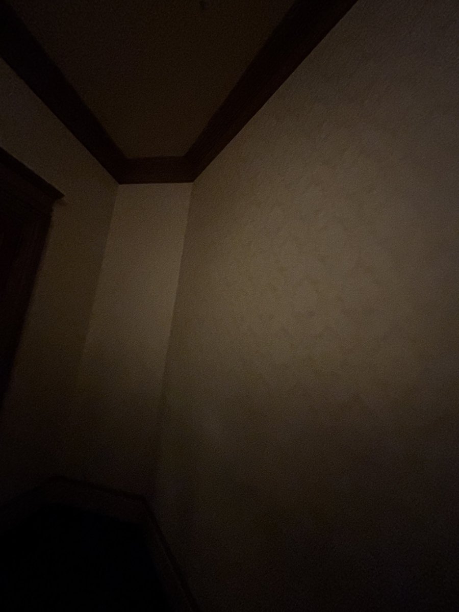 ゆみてぃリゾート 𝙉𝙚𝙭𝙩 ︎⇝与野けも tweet media