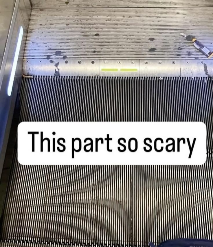 ella🌸 tweet media