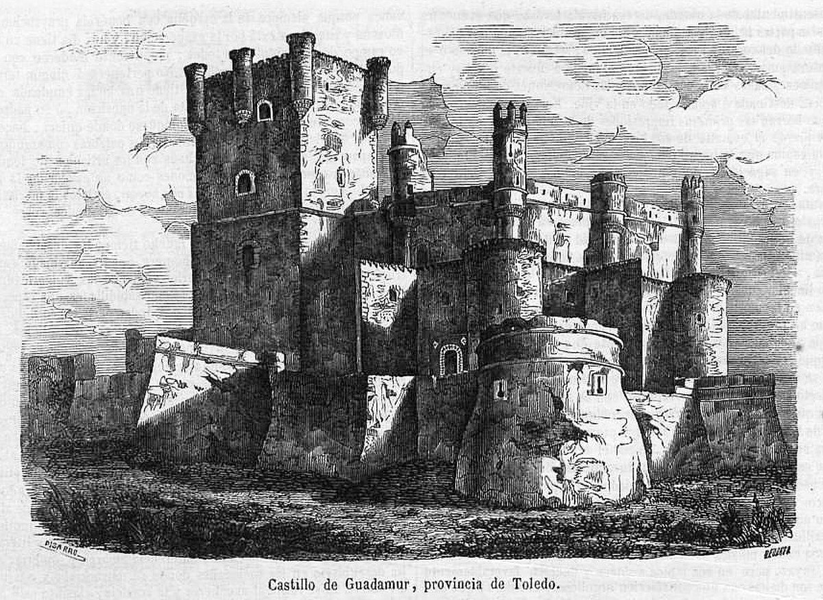 Campo Amarillo 🌾 tweet media