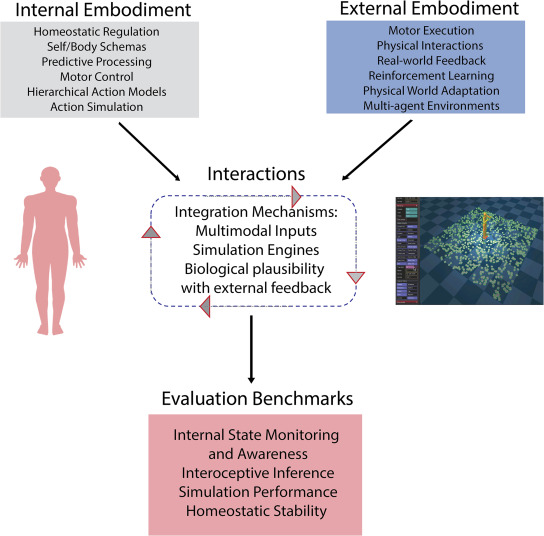 NeuroCellPress's tweet photo. Online now:  Embodiment in multimodal large language models https://t.co/sOr1NGZOy7 https://t.co/oCp3RCzSNp