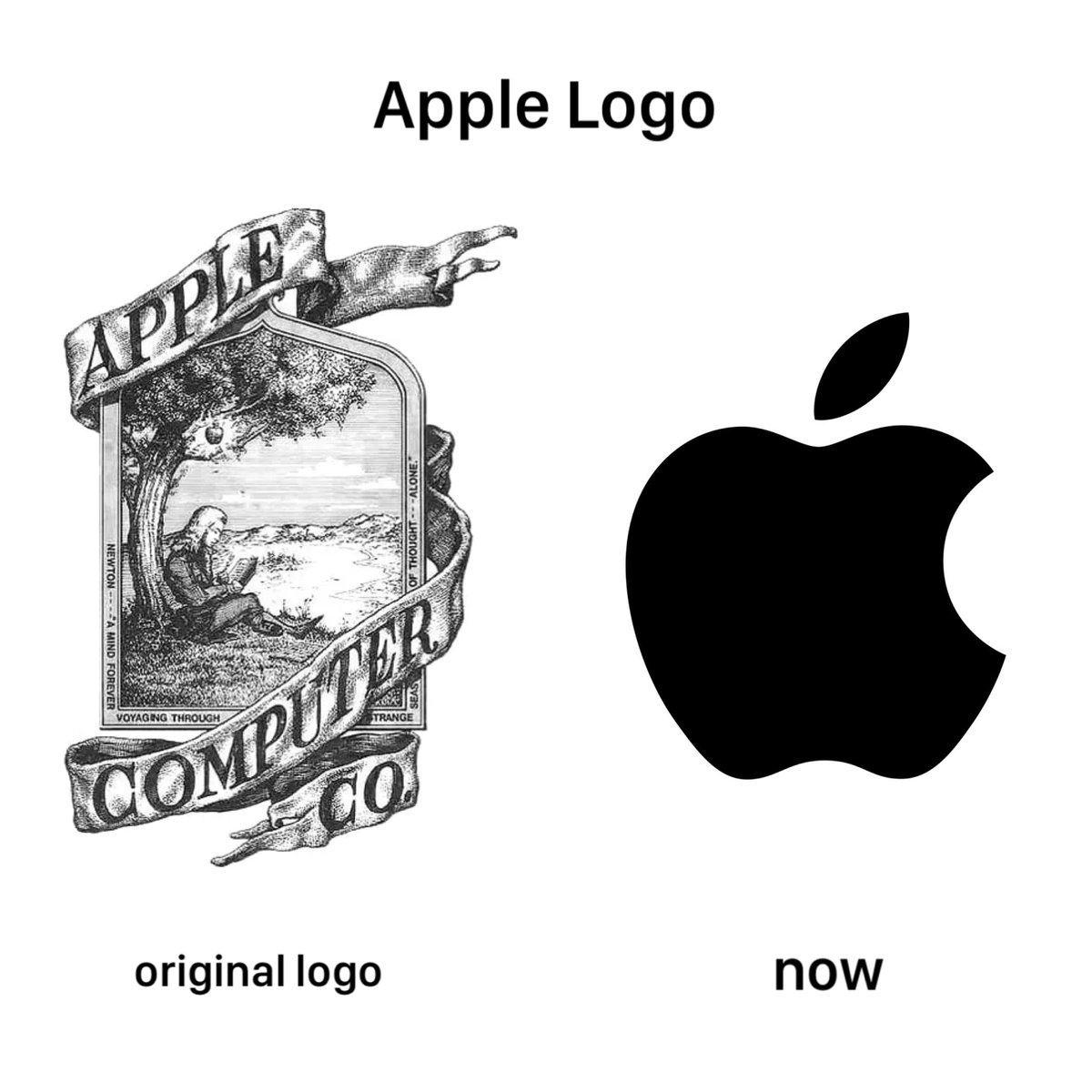 Holly - I like tech tweet media