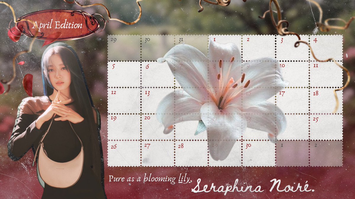 Nocturne Opera. tweet media