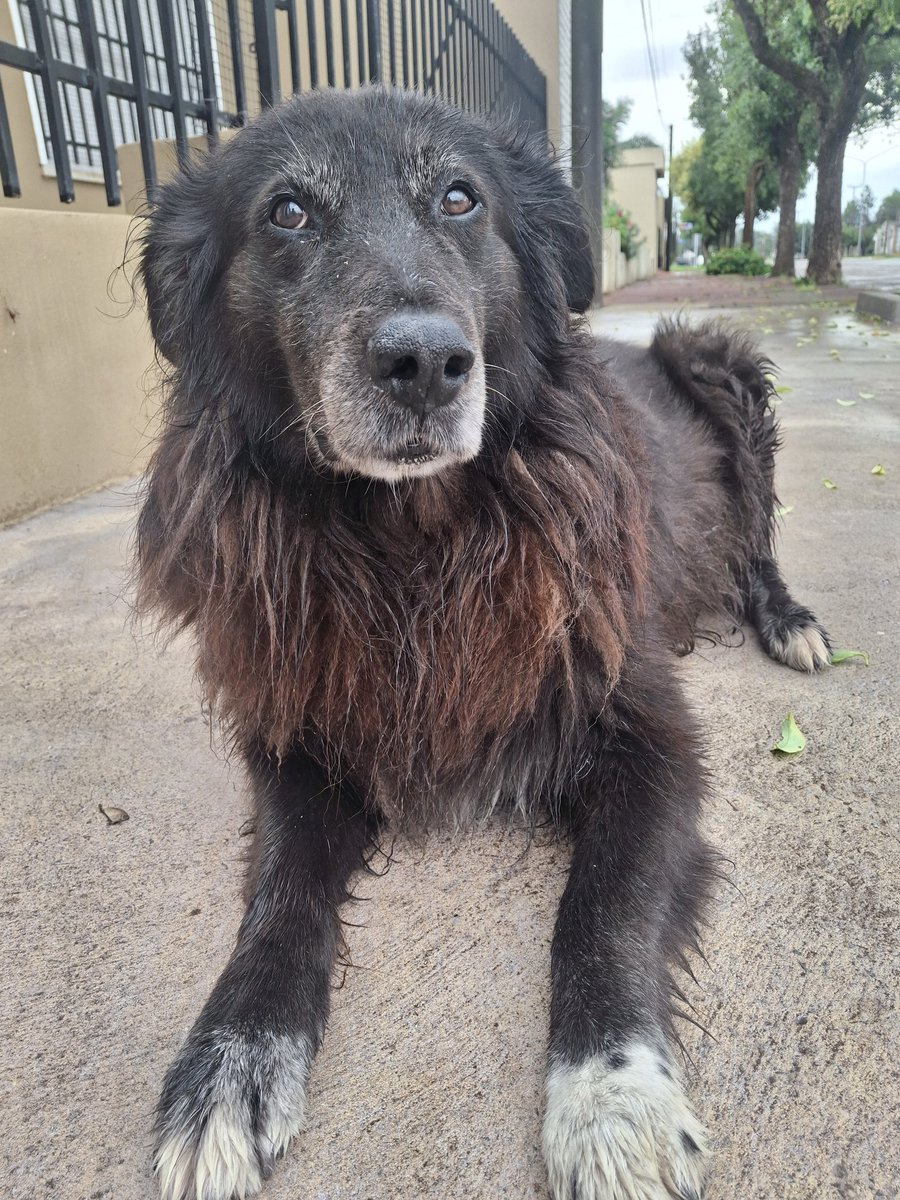 Soledad Tarquini tweet media