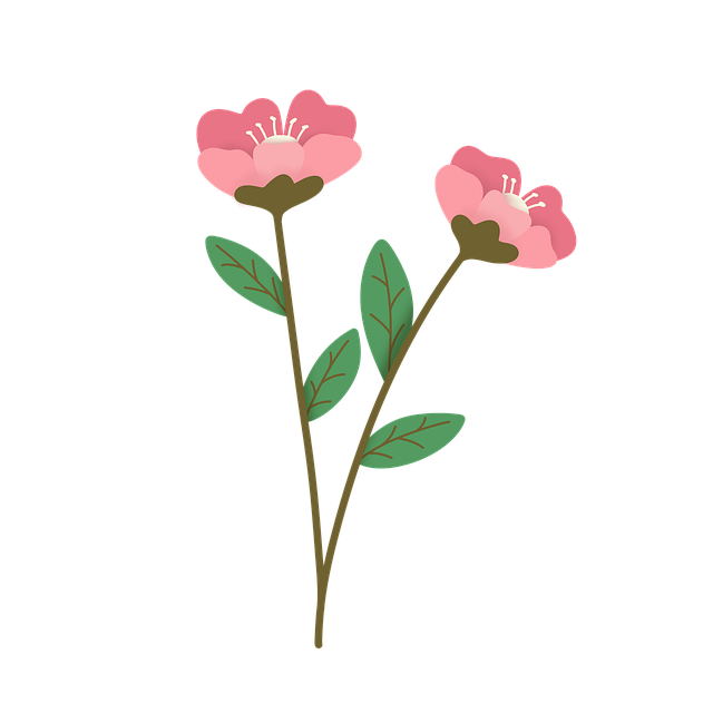 Nancy Lewis tweet media