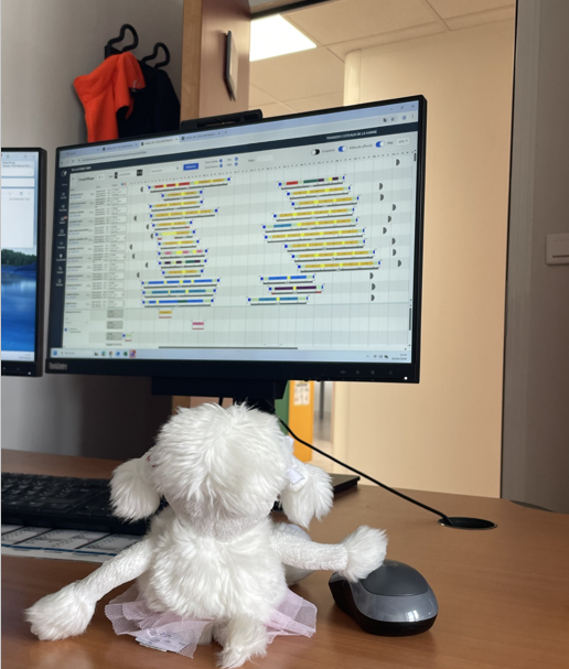MarneSeine_IDFM's tweet image. Direction le #planning🗓️
Dans la poursuite de ses aventures, #Doudou passe maintenant à la planification des journée de vos #conducteurs ! 🚍
Une grande mission pour notre ami 🫡