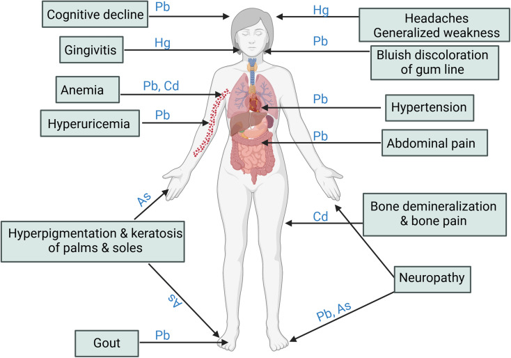 Duke Kidney tweet media