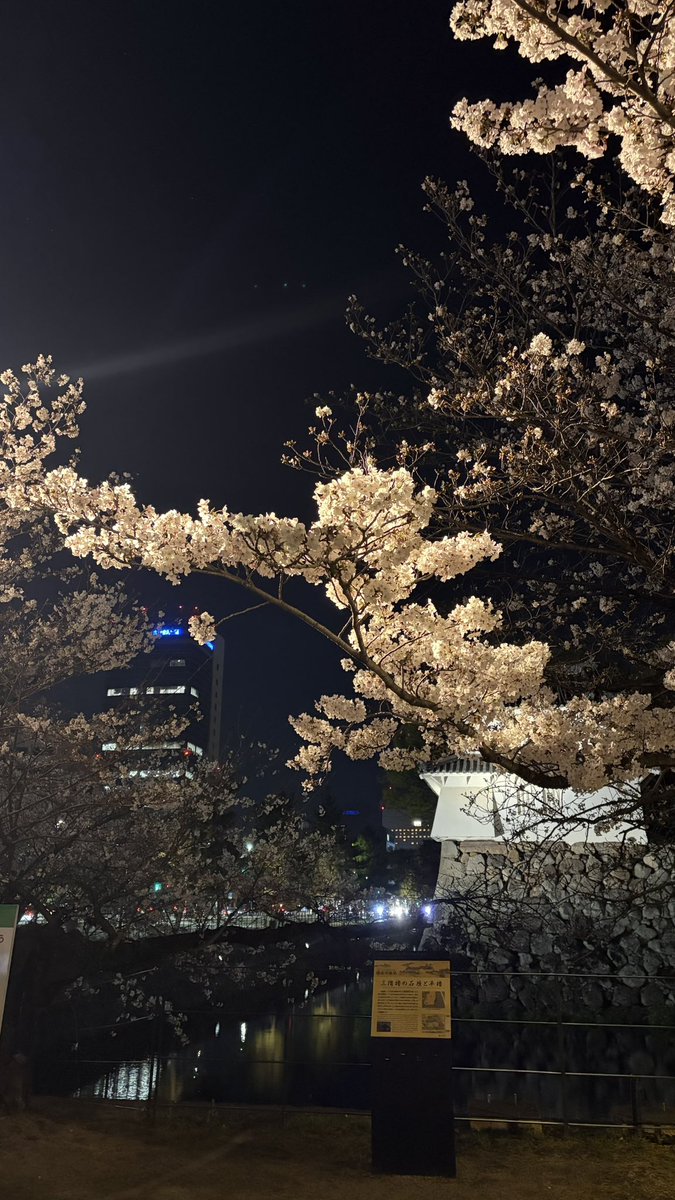 OBS天気 tweet media