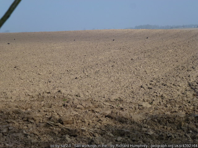 Photos of Britain tweet media