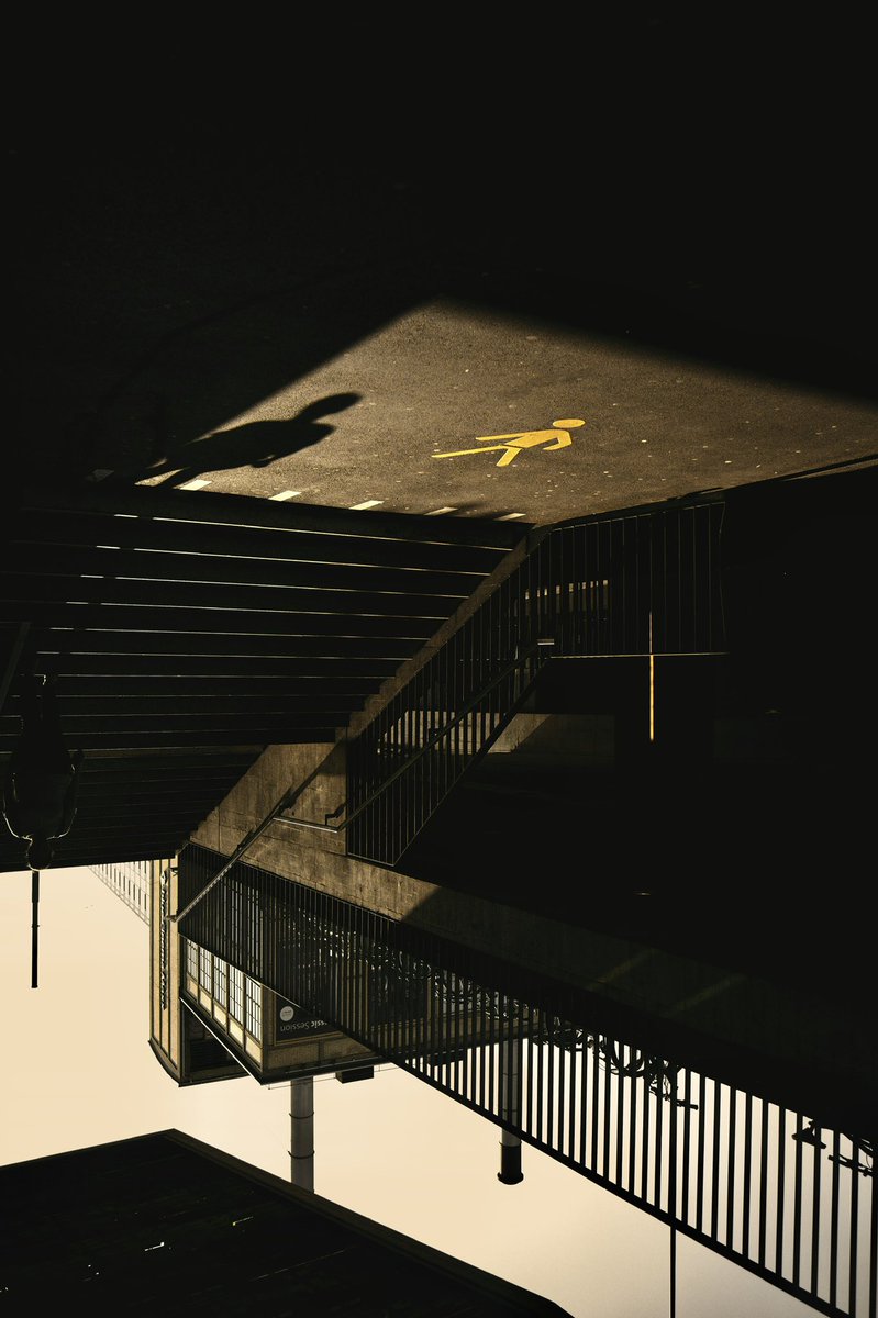 Rugg Ryder tweet media