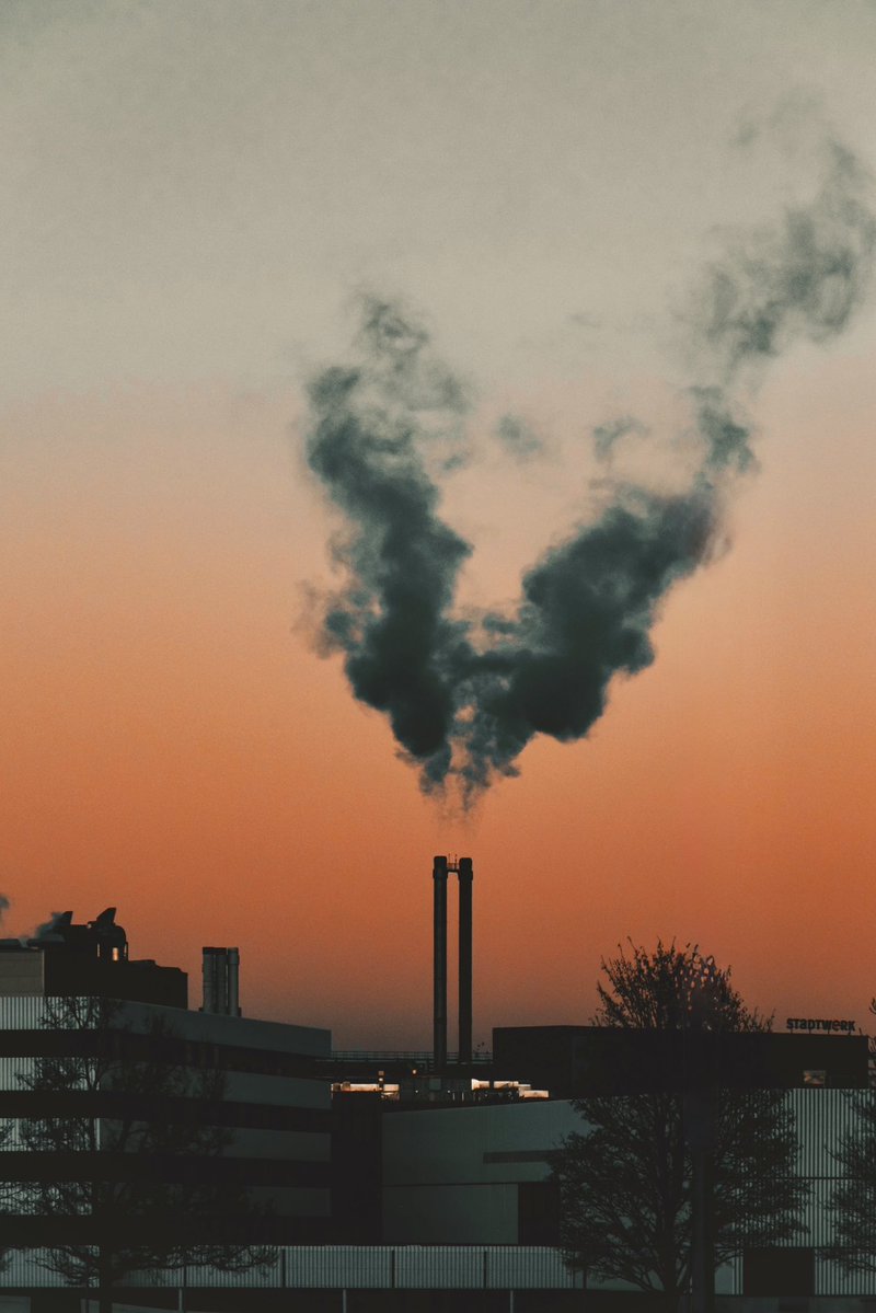 Rugg Ryder tweet media