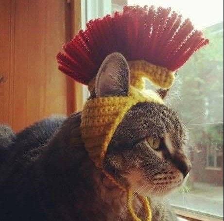 ethos_maximus's tweet photo. @Timemachine_wtf Kekius Maximus! https://t.co/Qf14j1ooW5