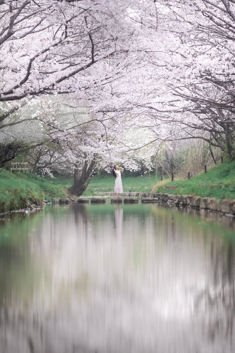 mjdwtjm_harry56's tweet photo. 桜景色♡🌸

#桜ポトレ #portraits https://t.co/TSLyOL6Hqo