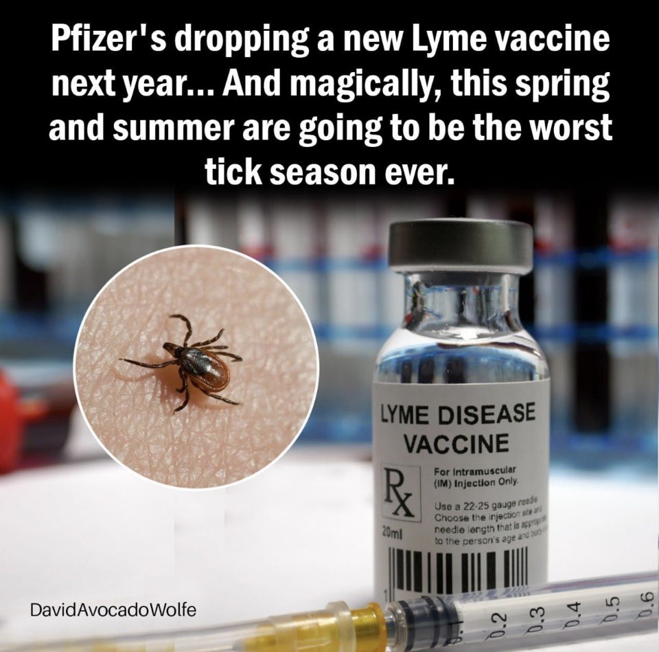 Lozzy B 🇦🇺𝕏 tweet media